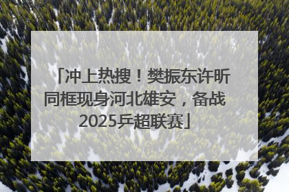 冲上热搜！樊振东许昕同框现身河北雄安，备战2025乒超联赛