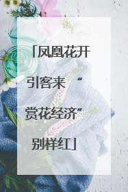 凤凰花开引客来 “赏花经济”别样红