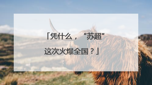 凭什么，“苏超”这次火爆全国？