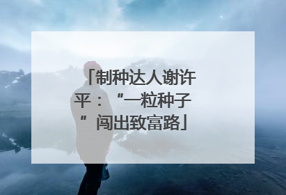 制种达人谢许平：“一粒种子”闯出致富路
