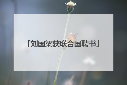 刘国梁获联合国聘书