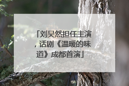 刘昊然担任主演，话剧《温暖的味道》成都首演