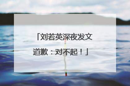 刘若英深夜发文道歉：对不起！