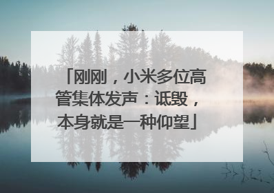 刚刚，小米多位高管集体发声：诋毁，本身就是一种仰望