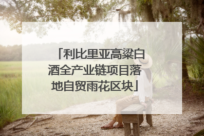 利比里亚高粱白酒全产业链项目落地自贸雨花区块
