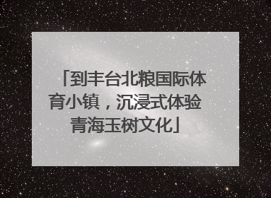 到丰台北粮国际体育小镇，沉浸式体验青海玉树文化
