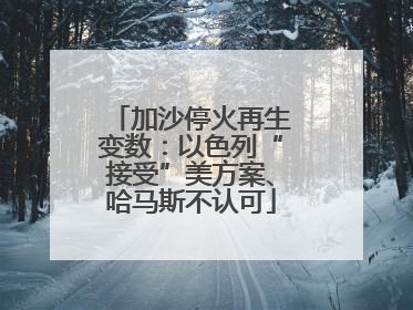 加沙停火再生变数：以色列“接受”美方案、哈马斯不认可