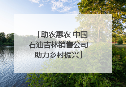 助农惠农 中国石油吉林销售公司助力乡村振兴