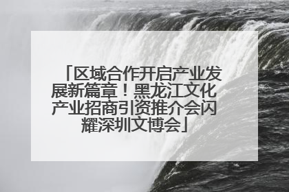 区域合作开启产业发展新篇章！黑龙江文化产业招商引资推介会闪耀深圳文博会