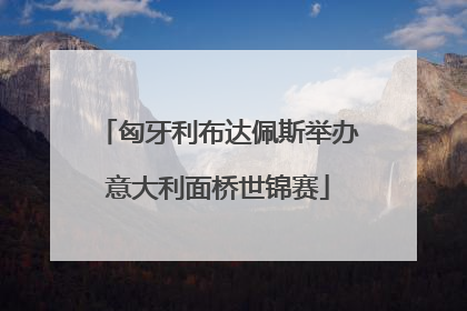 匈牙利布达佩斯举办意大利面桥世锦赛