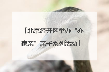 北京经开区举办“亦家亲”亲子系列活动