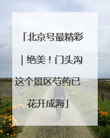 北京号最精彩｜绝美！门头沟这个景区芍药已花开成海