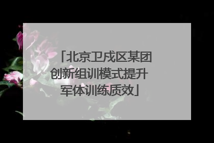 北京卫戍区某团创新组训模式提升军体训练质效