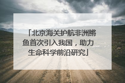 北京海关护航非洲鳉鱼首次引入我国，助力生命科学前沿研究