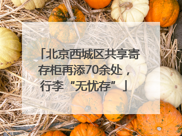 北京西城区共享寄存柜再添70余处，行李“无忧存”