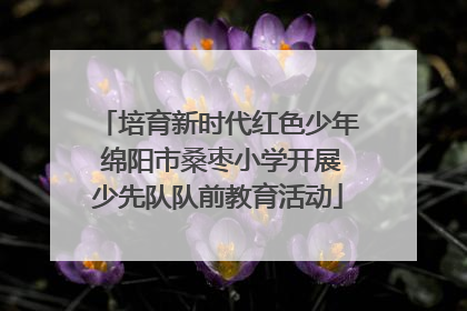 培育新时代红色少年 绵阳市桑枣小学开展少先队队前教育活动