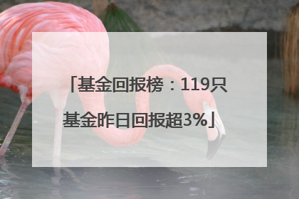 基金回报榜：119只基金昨日回报超3%