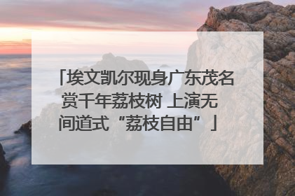 埃文凯尔现身广东茂名 赏千年荔枝树 上演无间道式“荔枝自由”