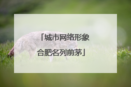 城市网络形象合肥名列前茅
