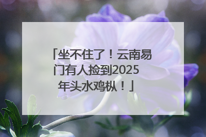 坐不住了！云南易门有人捡到2025年头水鸡枞！