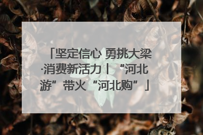 坚定信心 勇挑大梁·消费新活力丨“河北游”带火“河北购”