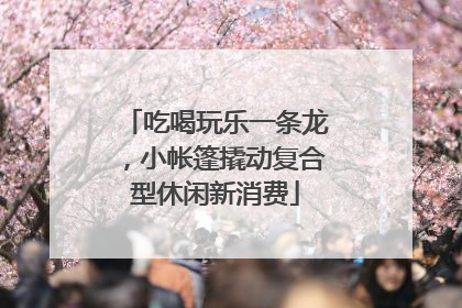 吃喝玩乐一条龙，小帐篷撬动复合型休闲新消费