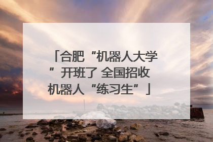 合肥“机器人大学”开班了 全国招收机器人“练习生”