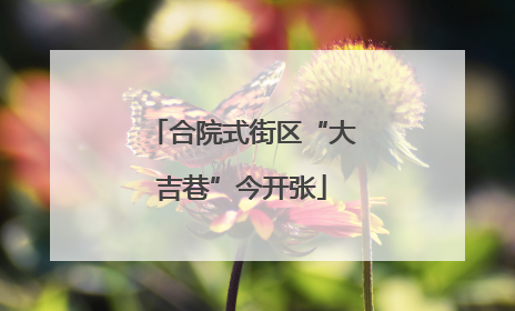 合院式街区“大吉巷”今开张