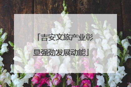 吉安文旅产业彰显强劲发展动能