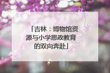 吉林：博物馆资源与小学思政教育的双向奔赴