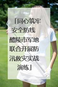 同心筑牢安全防线 醴陵市军地联合开展防汛救灾实战演练