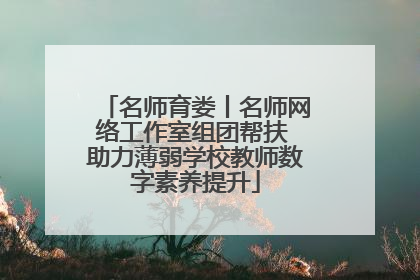名师育娄丨名师网络工作室组团帮扶 助力薄弱学校教师数字素养提升