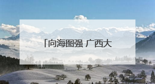 向海图强 广西大力发展海洋经济打造“蓝色引擎”
