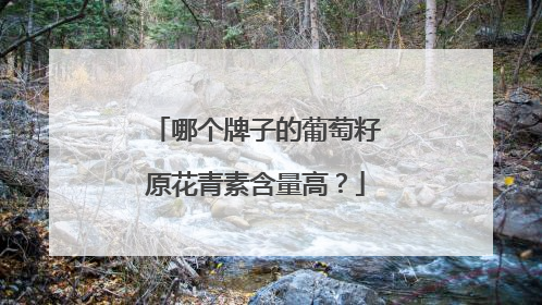 哪个牌子的葡萄籽原花青素含量高？
