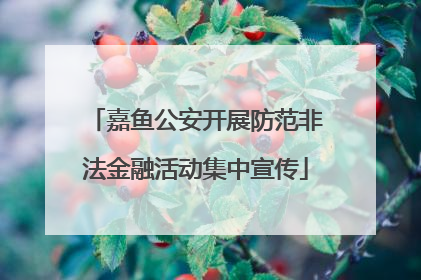 嘉鱼公安开展防范非法金融活动集中宣传