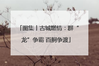 图集丨古城燃情：群“龙”争霸 百舸争渡