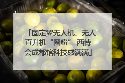 固定翼无人机、无人直升机“圈粉” 西博会成都馆科技感满满