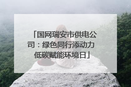 国网瑞安市供电公司：绿色同行添动力 低碳赋能环境日