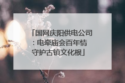 国网庆阳供电公司：电牵庙会百年情 守护古镇文化根