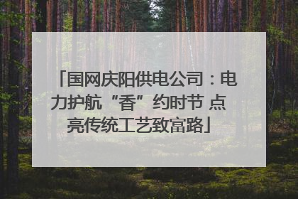 国网庆阳供电公司：电力护航“香”约时节 点亮传统工艺致富路