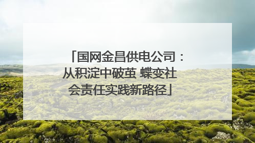 国网金昌供电公司：从积淀中破茧 蝶变社会责任实践新路径