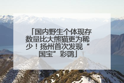 国内野生个体现存数量比大熊猫更为稀少！扬州首次发现“国宝”彩鹮