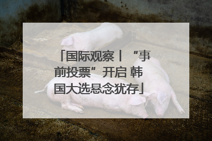 国际观察丨“事前投票”开启 韩国大选悬念犹存