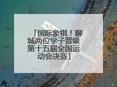 国际象棋！聊城两位学子晋级第十五届全国运动会决赛