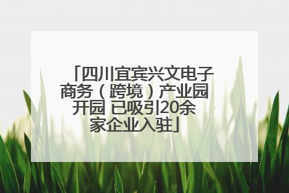 四川宜宾兴文电子商务（跨境）产业园开园 已吸引20余家企业入驻