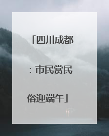 四川成都：市民赏民俗迎端午
