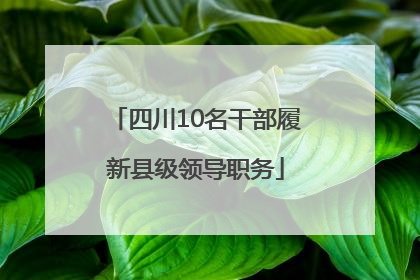 四川10名干部履新县级领导职务