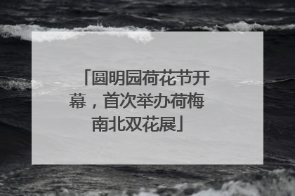 圆明园荷花节开幕，首次举办荷梅南北双花展