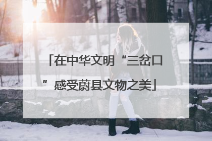 在中华文明“三岔口”感受蔚县文物之美