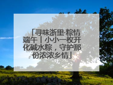 寻味浙里·粽情端午丨小小一枚开化碱水粽，守护那份浓浓乡情
